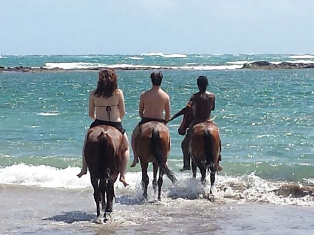 Trims Riding Academy