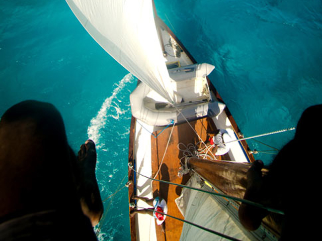 Savvy Sailing Tours